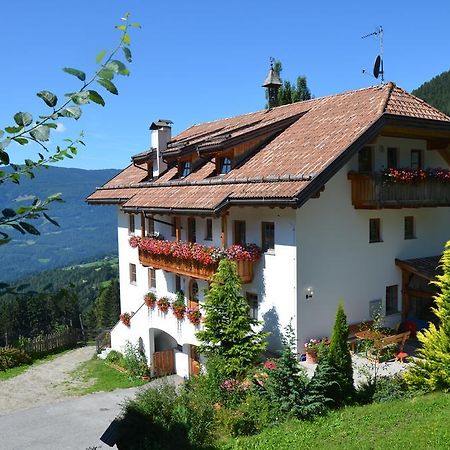 Baerntalerhof Villa Falzes Bagian luar foto