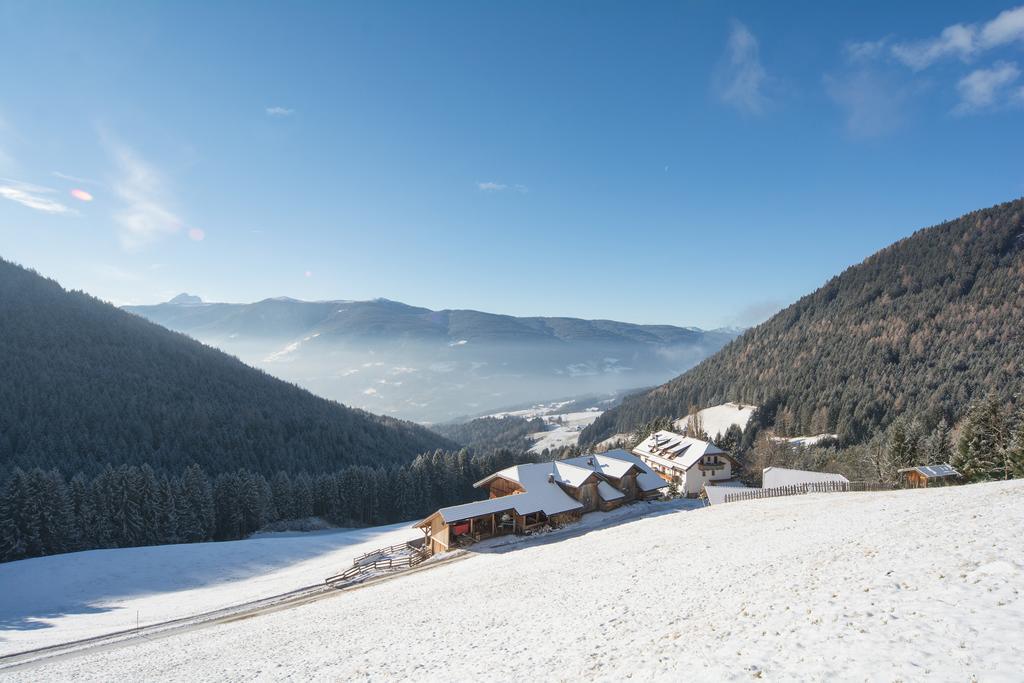 Baerntalerhof Villa Falzes Bagian luar foto