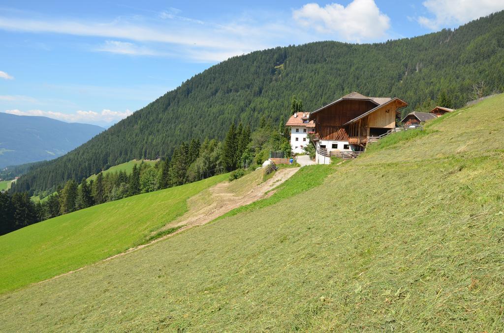 Baerntalerhof Villa Falzes Bagian luar foto
